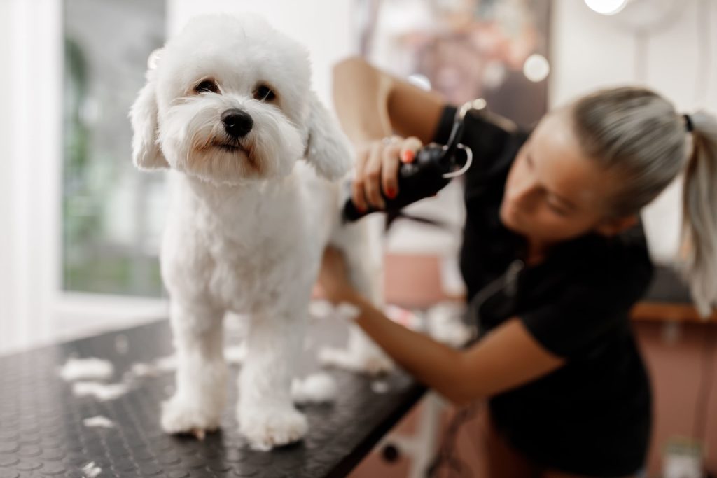 Pet grooming
