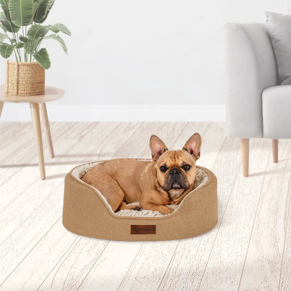 Medium Foam Oval Lounger Dog Cat Bed Reversible Pillow Cozy Cuddler Nest Medical Grade Foam Easy Care Removable Cover